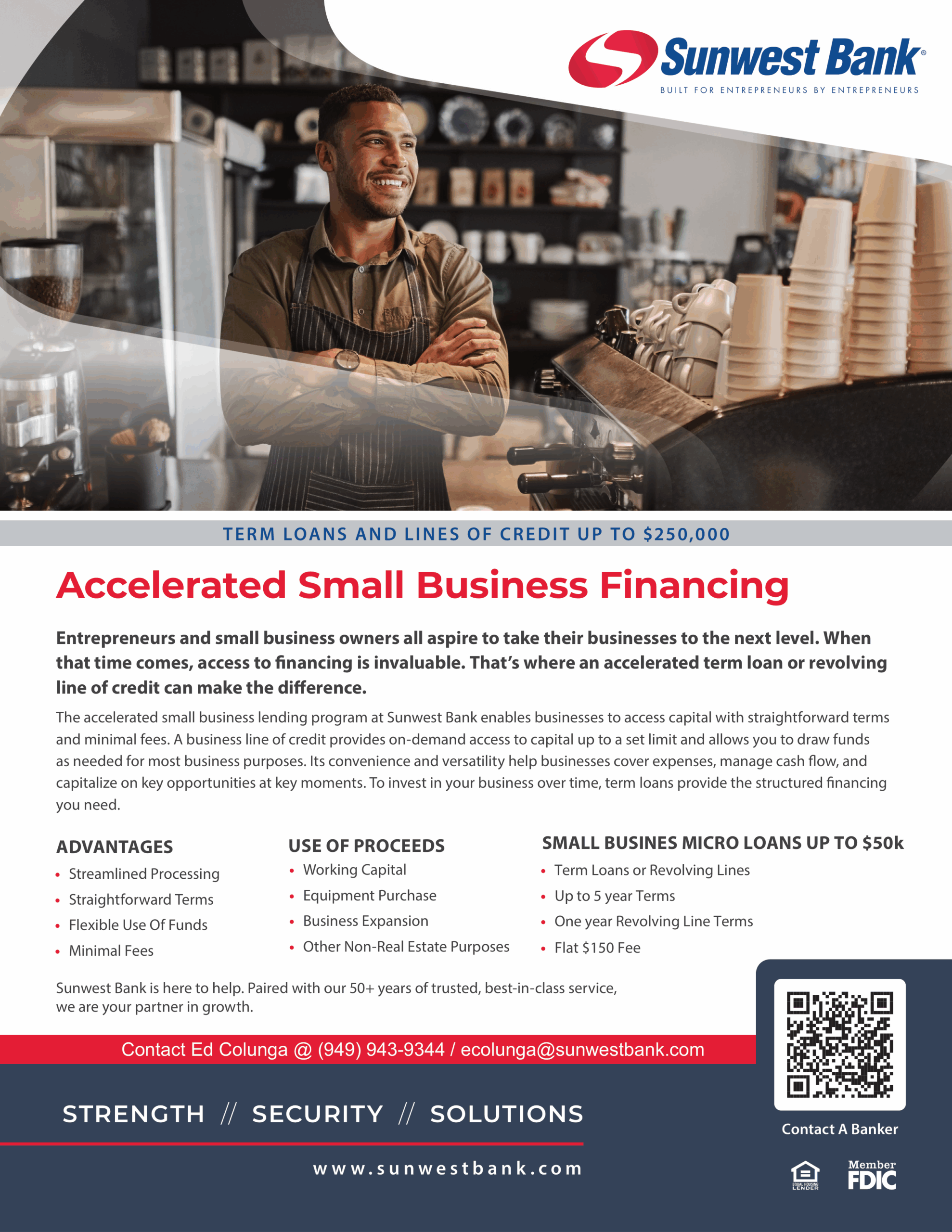 Accelerated Small Business & Micro Financing Flyer